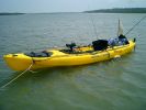 Filename=kayak2.JPG
Filesize=259KB
Dimensions=640x480
Date added=May 07, 2007 kayak2.JPG