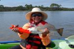Filename=Guana_Lake_(11-01-09)_Guppy_s_18_inch_Red_Fish.jpg
Filesize=59KB
Dimensions=800x532
Date added=Nov 05, 2009 Guana_Lake_(11-01-09)_Guppy_s_18_inch_Red_Fish.jpg