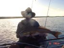 Filename=081509_29_inch_Red_uploadable.jpg
Filesize=82KB
Dimensions=640x480
Date added=Aug 22, 2009 081509_29_inch_Red_uploadable.jpg