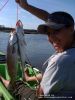 Filename=trout22.jpg
Filesize=69KB
Dimensions=576x768
Date added=Mar 11, 2009 trout22.jpg