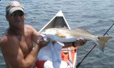 Filename=red27-1.jpg
Filesize=117KB
Dimensions=981x588
Date added=Aug 29, 2010 red27-1.jpg